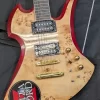 Lita Ford Guitar